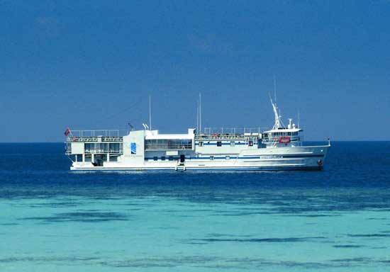 Maldives Cruise Holidays - Why settle for one destination when you can liveaboard Dive and cruise around the top Maldives islands